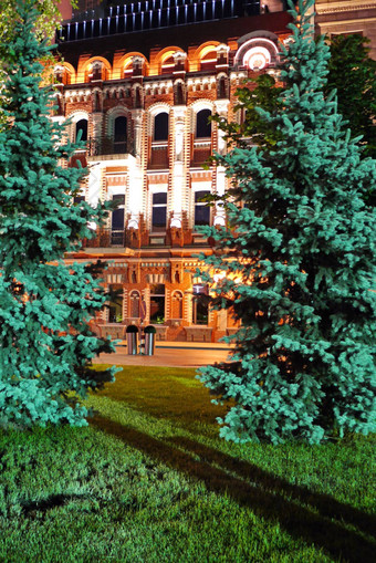 华丽的视图绿色草坪上坐着树酒店美丽的体系结构照亮晚上灯