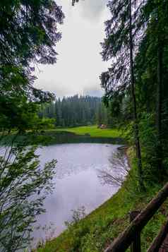风景优美的视图喀尔巴阡山脉的湖滴雨背景绿色森林
