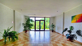 宽敞的大厅阳台多色的瓷砖地板上观赏植物