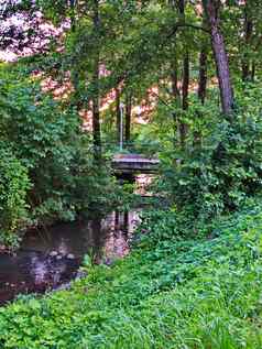 行人桥绿色灌木丛灌木说谎小河流动风景如画的区域树日益增长的银行