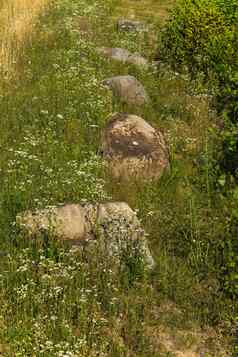 大巨石长满草的坡山射线阳光
