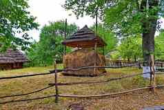 干草堆树冠覆盖茅草屋顶院子里农村庄园坚固对冲木波兰人