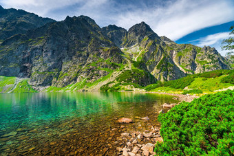 小美丽的山湖黑关节高基