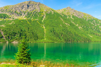 安静的美丽的山湖海产的奥科夏天阳光明媚的