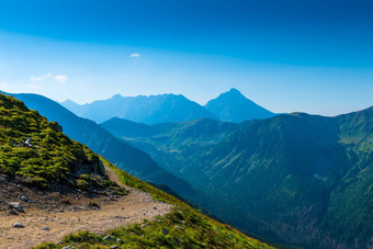 阳光明媚的夏天一天高山塔特拉山山帕拉