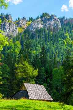 垂直景观美丽的高山小屋