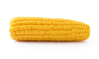 玉米白色背景