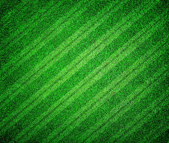 绿色草排足球足球场