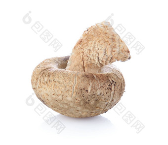 香菇蘑菇白色背景