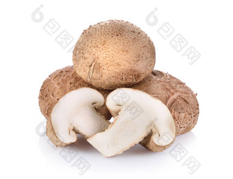 <strong>香菇</strong>蘑菇白色背景