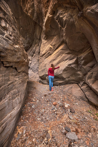年轻的女人徒步旅行者风景优美的峡谷峡谷bermeja火山岩石峡谷tenerife金丝雀岛屿西班牙