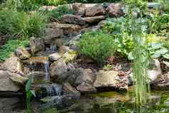 花园瀑布花园池塘水花美丽的池塘