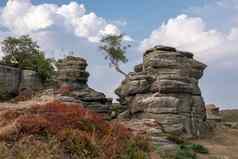 风景优美的视图布里姆汉姆岩石约克郡山谷国家公园
