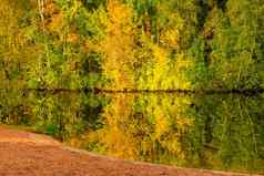 明亮的美丽的秋天风景优美的景观树湖