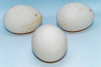 鸡蛋孤立的白色背景
