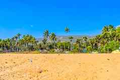 野生空热带海滩蓝色的天空黄色的沙子阳光仿佛