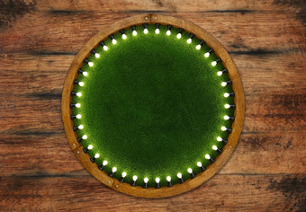 木环光框架绿色草背景