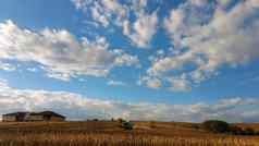 结合收割机割草向日葵场蓝色的天空白色云