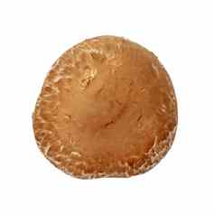 棕色（的）波多贝罗蘑菇孤立的白色