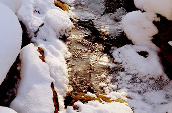 雪森林流冻结冰雪背景