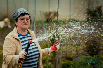 园艺人概念快乐高级女人浇水草坪上花园软管夏天