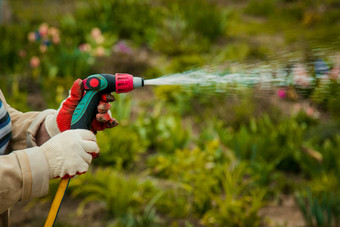 园艺人概念快乐高级女人浇水草坪上花园软管夏天