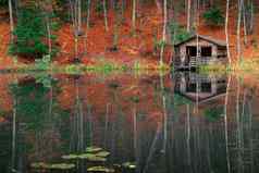 钓鱼房子森林池塘秋天下午