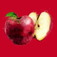 红色的苹果黑暗红色的背景水彩插图
