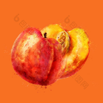桃子橙色背景水彩插图