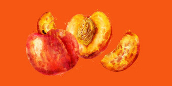 桃子橙色背景水彩插图