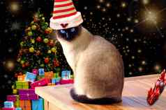 圣诞节有趣的可爱的猫穿条纹精灵他圣诞节背景