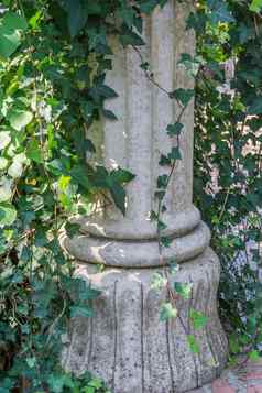 美丽的花园装饰希腊罗马石头历史支柱杂草丛生的艾薇背景装饰