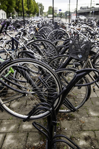 阿姆斯特丹<strong>荷兰</strong>9月日落阿姆斯特丹自行车停车传统的<strong>荷兰</strong>建筑花市场单运河<strong>荷兰</strong>
