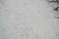 纹理背景秋天明亮的黄色的落叶松针绿色草冬天雪
