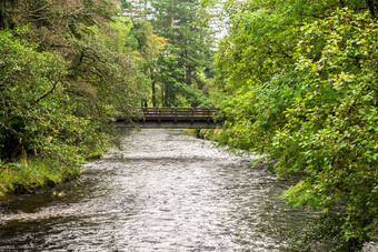 小行人桥河艾凯格本莫尔植物花园苏格兰