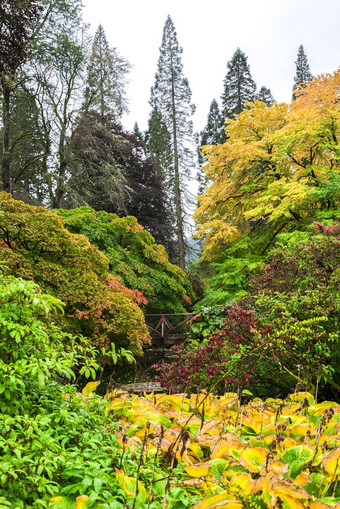 色彩鲜艳的秋天景观视图本莫尔植物花园苏格兰