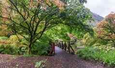小桥风景优美的池塘秋天季节本莫尔植物花园苏格兰