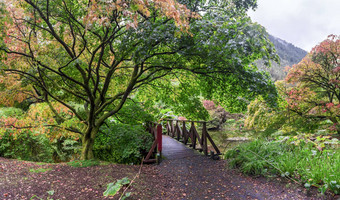 小桥风景优美的池塘秋天季节本莫尔植物花园苏格兰