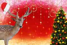 快乐圣诞节鹿圣诞老人老人阀盖鹿角装饰圣诞节树孤立的美丽的圣诞节背景星星