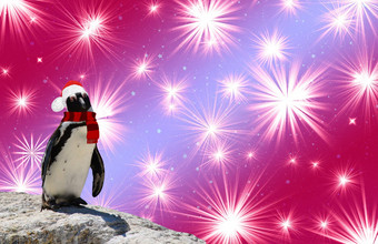 快乐圣诞节有趣的企鹅穿披肩圣诞老人老人他孤立的色彩斑斓的背景闪亮的星星