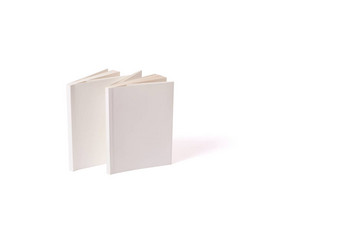 小白色平装书站白色表面左实物模型回来书书封面