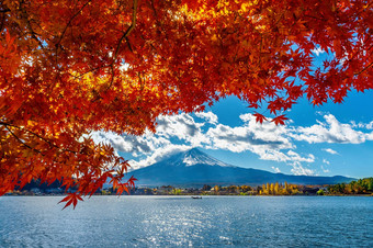 秋天季节山富士河口湖湖日本