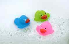粉红色的绿色蓝色的鸭浴缸