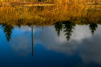 秋天景<strong>观色</strong>彩斑斓的树黄<strong>色</strong>的草河