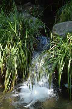 流级联池塘绿色植物舒适的景观放松冥想公园