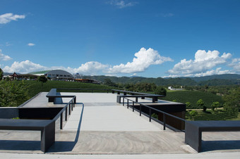 风格屋顶设计茶场景观