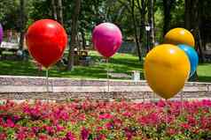 颜色baloons花公园