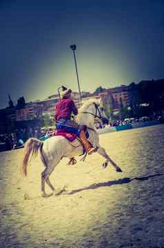 奥斯曼帝国骑马骑马