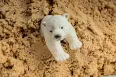 极地熊模型沙子