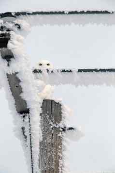 冬天霜雪猫头鹰